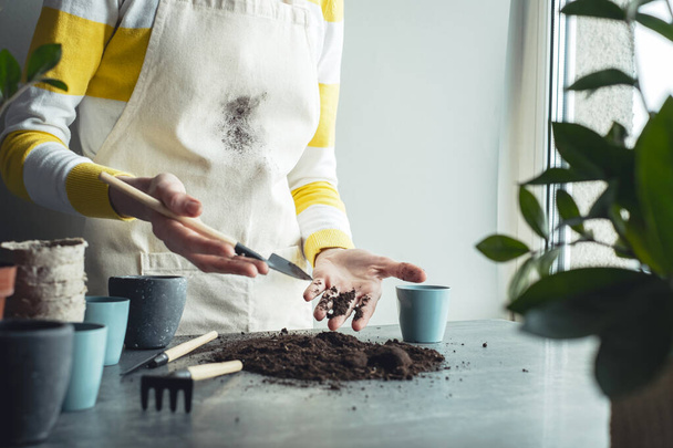 Frau zeigt schmutzige Hände auf dem Boden, während sie Zimmerpflanzen verpflanzt. Hochwertiges Foto - Foto, Bild