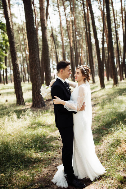a handsome groom with a beautiful bride are walking in a pine park. portrait of newlyweds in love. lovers embrace - Fotoğraf, Görsel