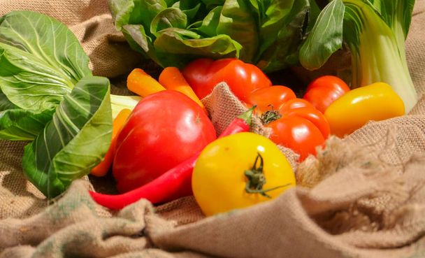 Close up vegetables: Peppers, tomatoes, lettuce and carrots. Focus on tomatoes. - Φωτογραφία, εικόνα