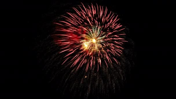 Πυροτεχνήματα εορτασμού απομονώνονται στο φόντο του μαύρου ουρανού. 4k βίντεο κίνησης. - Πλάνα, βίντεο