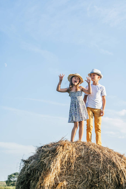 Vertical portrait of children boy and girl staying and hugging, putting tongue out, playing ape on haystack in field. - Photo, Image