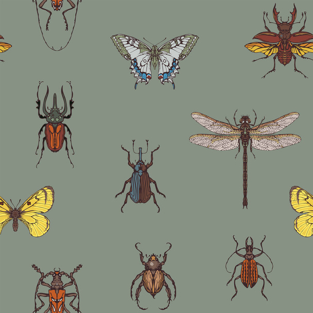 Vector seamless pattern with various hand-drawn insects. Repeating background with colored butterflies, beetles, dragonfly on a grey backdrop. Suitable for wallpaper, wrapping paper or fabric design - ベクター画像