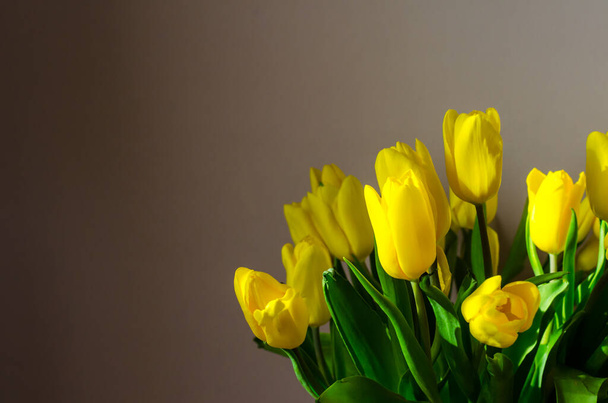 um buquê de tulipas amarelas ao sol perto. Foto de alta qualidade - Foto, Imagem