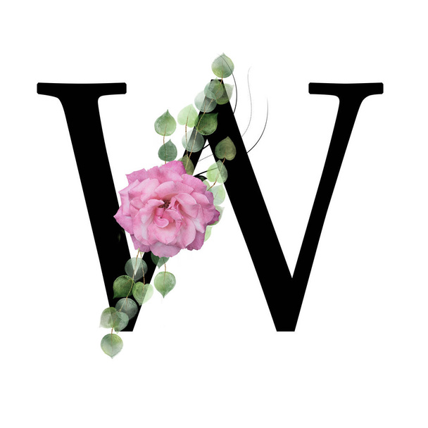 ピンクのバラと葉で飾られた大文字W 。花の装飾と英語のアルファベットの手紙。緑の葉. - 写真・画像