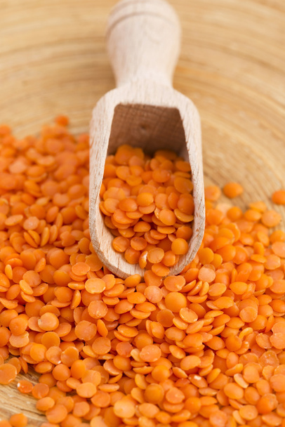 Dry Organic Red Lentils - Photo, Image
