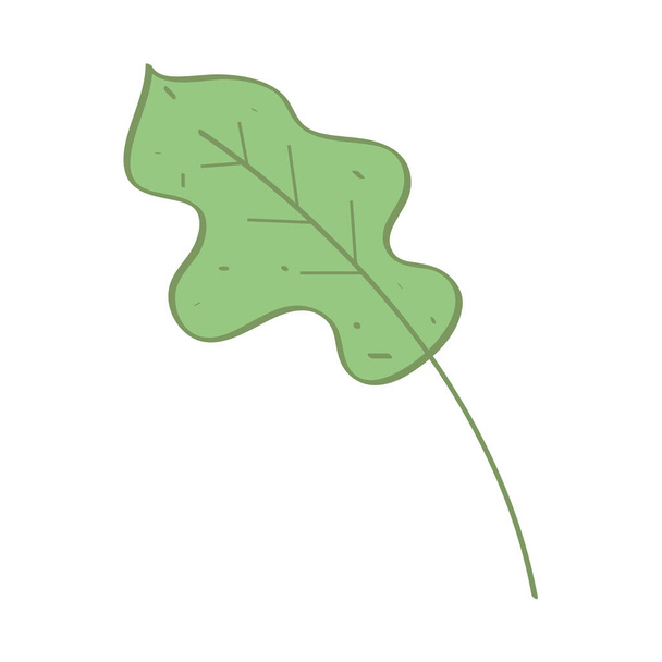 leaf foliage icon - Vektor, kép