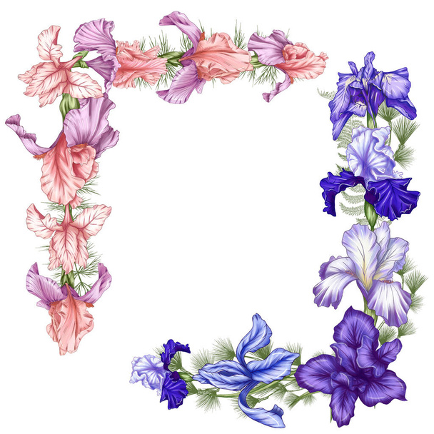 Lovely irises corner borders isolated, cute iris florals decoration, blue and pink botanical frames, birthday card diy design elements - Photo, image