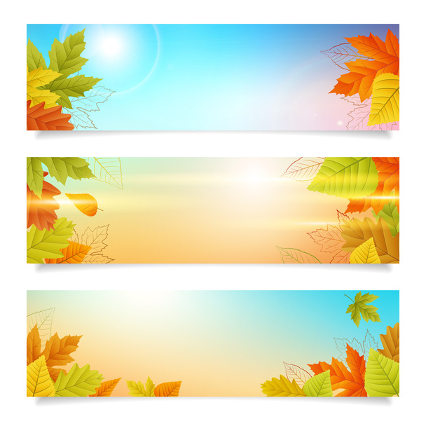 set autumn banners business background - Vector, Image