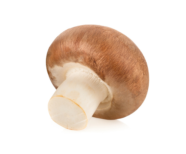 Świeże grzyby champignon izolowane na białym tle - Zdjęcie, obraz