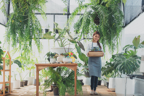 Fiatal gyermekgondozó Greenhouse-ban. Házi kertészkedés, a növények és a gondozás szeretete. Kisvállalkozások - Fotó, kép