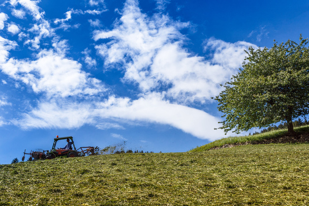 Mies ajaa nurmikolla traktorin
 - Valokuva, kuva