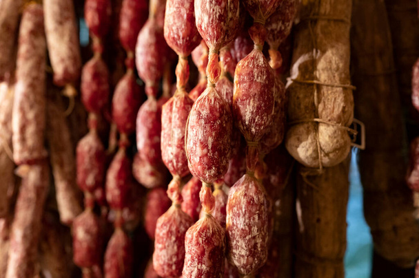 Variety of homemade dried salami sausages hanging in butchery shop in Parma, emilia Romagna, Italy, meat food background - Zdjęcie, obraz