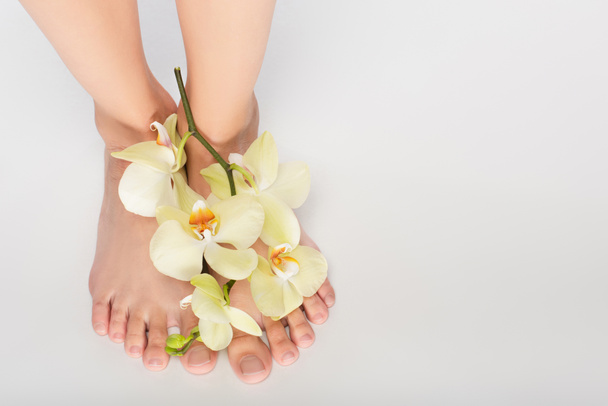 partial view of woman with orchid on feet on white background - Foto, immagini