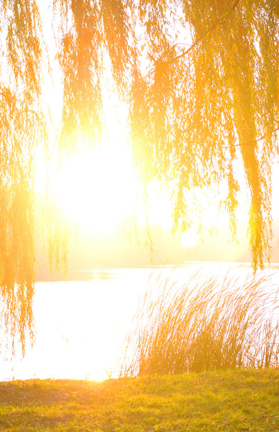 Ylivalottunut aurinko joen rannalla syksyllä
 - Valokuva, kuva