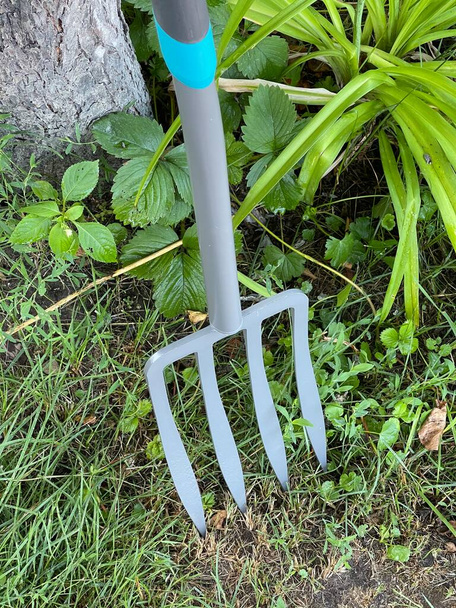 железные грабли, инструмент для работы в саду и в саду вилы трезубец - Фото, изображение