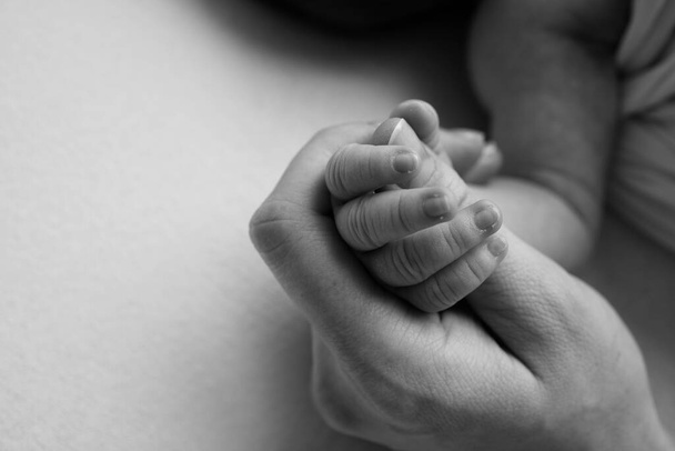 Anne ve babanın elinde uyuyan yeni doğmuş bir bebeğin eli. Yeni doğmuş bir bebeğin minik parmakları. Aile el ele tutuşuyor. Stüdyo makro fotoğrafçılık. Aile ve aşk kavramları. Siyah beyaz. - Fotoğraf, Görsel