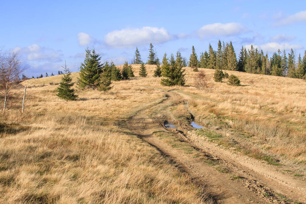 Paisagem de montanha de outono. Belo panorama levado nas montanhas de Beskidy a caminho de Jalowiec durante um belo dia de outono ensolarado. Beskidy Mountains, Silésia, Polónia   - Foto, Imagem