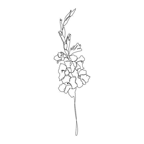 Continuous one line gladiolus flower. Moden style flower for logo, icon emblem or web banner. Hand drawn minimalism style vector - Διάνυσμα, εικόνα