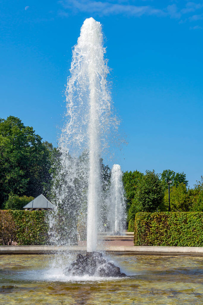 Peterhof, Russia-30 August 2021: First and second Menajerniy fountains in the Bacchus Garden , Peterhof, Saint Petersburg, Russi - Foto, imagen