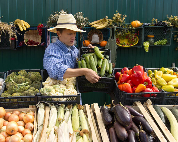 Cetrioli al mercato agricolo. Un venditore maschio mette una scatola di cetrioli sul bancone. - Foto, immagini