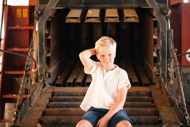 bonito loira pré-adolescente menino com relaxado pose sentado no rústico ao ar livre concelho configuração - Foto, Imagem