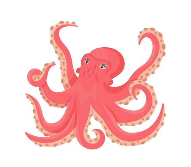 Pink octopus isolated on white background.  - Vektori, kuva