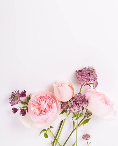 Festive pink flower rose frame on the white background. - Foto, Imagem