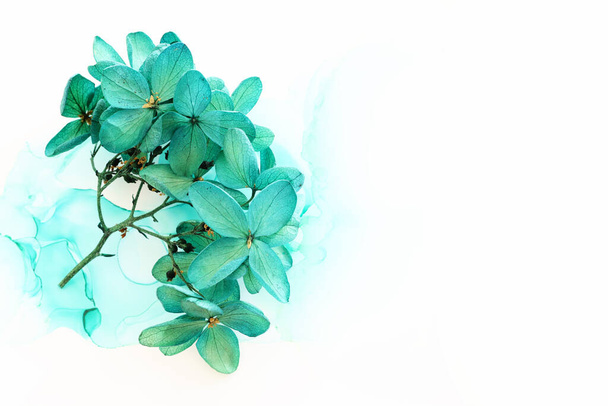 Creative image of emerald and green Hydrangea flowers on artistic ink background. Top view with copy space - Foto, afbeelding