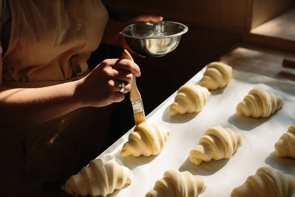 Female baker smears raw croissants with a brush in the yolk, the cooking process. - 写真・画像