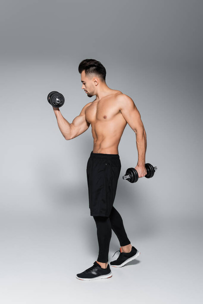 full length of shirtless and muscular sportsman exercising with dumbbells on grey - 写真・画像
