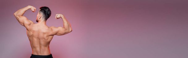 πίσω όψη του ισχυρού αθλητή δείχνει μυς σε ροζ και γκρι, πανό - Φωτογραφία, εικόνα