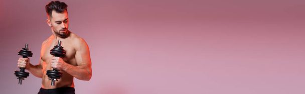 paidaton urheilija treenaa käsipainoilla vaaleanpunainen ja harmaa, banneri - Valokuva, kuva