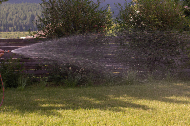Sprinkler sprays water on green grass. Irrigation system. - Foto, Bild