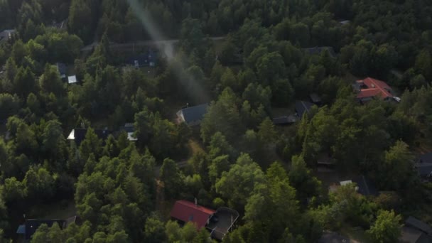 Seyrek ormandaki yazlık ya da kulübelerin yüksek açılı görüntüleri. Binalar ağaçlarla korunuyor. Danimarka - Video, Çekim