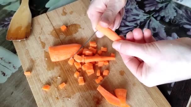 Nainen leikkaa porkkanoita leikkuulaudalla - Materiaali, video