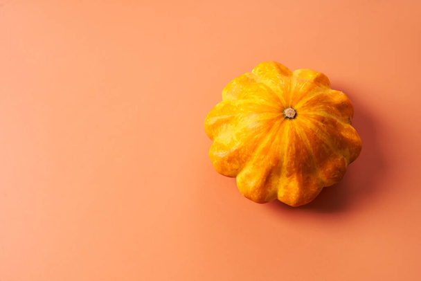 Small pumpkin on an orange background. - Foto, Bild