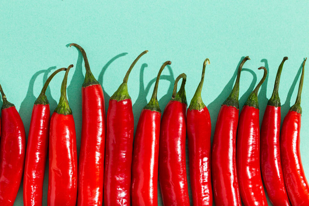 Red hot chilli peppers on minimal blue contrast background - Foto, Imagem