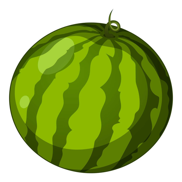 Realistic fresh big watermelon isolated on white background - Vector illustration - Vector, Imagen