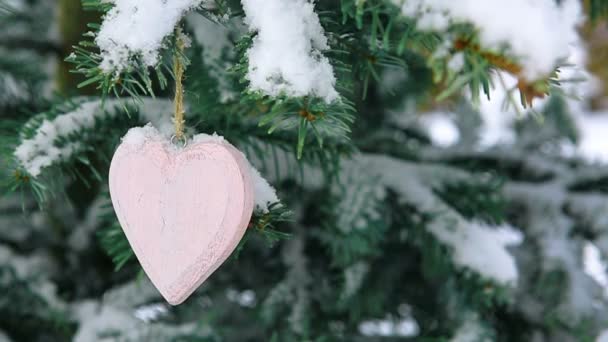 Ροζ καρδιά στο χιόνι καλύπτονται πεύκο κλαδί .Ημέρα του Αγίου Βαλεντίνου φόντο. - Πλάνα, βίντεο