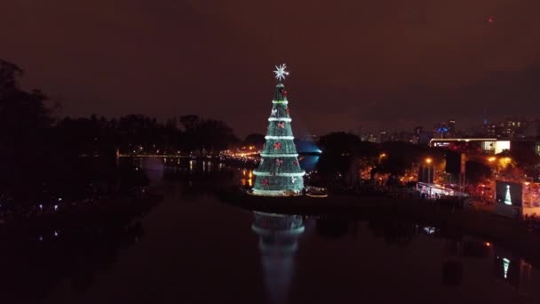 Aydınlatma Noel Ağacı şehir yaşamında. Kutlama manzarası. Christimas Ağacı ve Noel zamanı Ibirapuera Parkı Sao Paulo Brezilya 'da. Tatiller için dekorasyon. - Video, Çekim