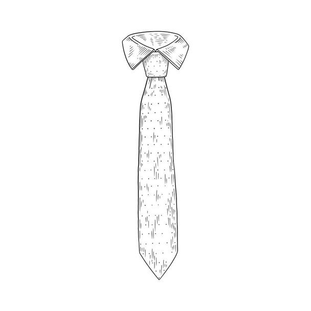 Male tie formal appearance element, sketch vector illustration isolated. - Wektor, obraz