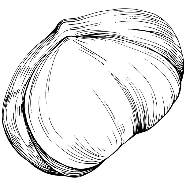 Черно-белый клип-арт, графика гавайского ореха, простой векторный скит на белом фоне  - Вектор,изображение