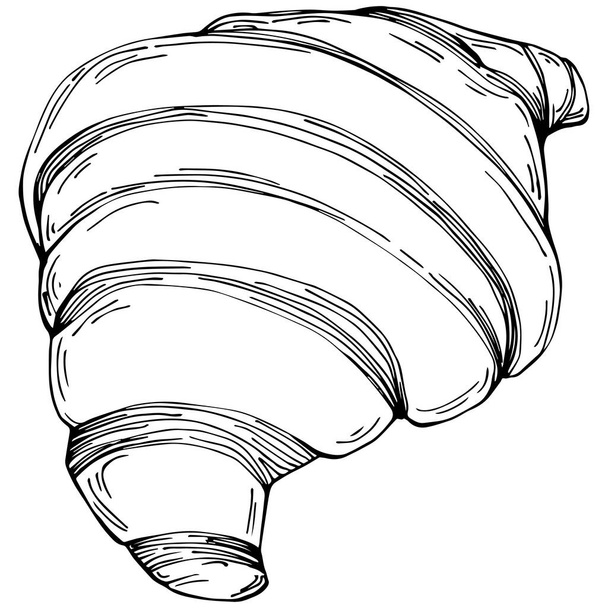 Croissant hand drawn illustration - Vector, Image