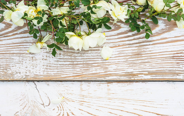 Loma tai juhla tausta; Runko luonnonvaraisten valkoisten ruusujen oksia maalaismainen puinen tausta - Valokuva, kuva