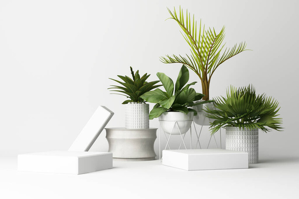 3D καθιστούν τροπικά φυτά απομονωμένα σε λευκό φόντο. - Φωτογραφία, εικόνα
