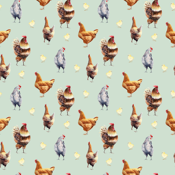 Watercolor farm poultry yard birds seamless pattern.  Surface pattern design, digitalpaper. Country fabric. - Фото, изображение