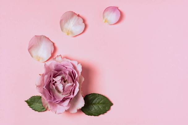 Flowers composition of roses on a pink background. Flat lay, top view, copy space - Foto, Bild