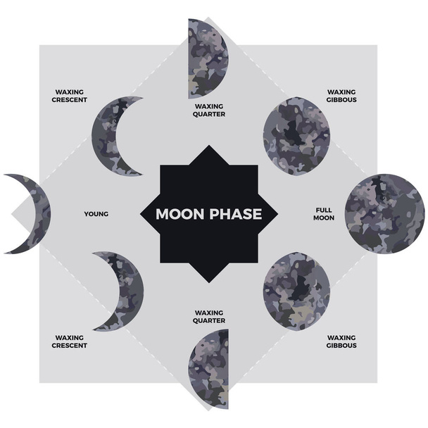 Fase lunar. Superficie texturizada de la luna. Fases lunares a lo largo del ciclo. Creciente tipo de diseño. Observación astronómica del satélite terrestre durante un mes. Ilustración vectorial - Vector, imagen