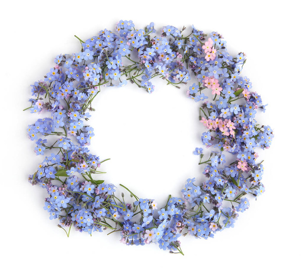 Circle of spring blue flowers Myosotis isolated on white background.  Flowers Myosotis are called forget-me-not or scorpion grasses. - 写真・画像