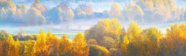 朝の霧の中で雄大な常緑の森の中でカラフルな赤、オレンジ、黄色の木々の丘の息をのむようなパノラマの空中ビュー。妖精の秋の風景。ゴーヤ国立公園,シグルダ,ラトビア - 写真・画像